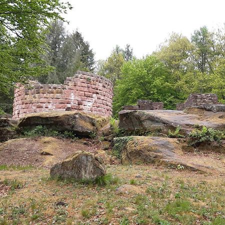 Fewo Jule Thaleischweiler-Froschen Buitenkant foto