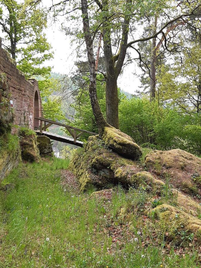 Fewo Jule Thaleischweiler-Froschen Buitenkant foto