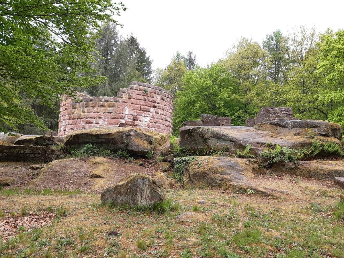 Fewo Jule Thaleischweiler-Froschen Buitenkant foto