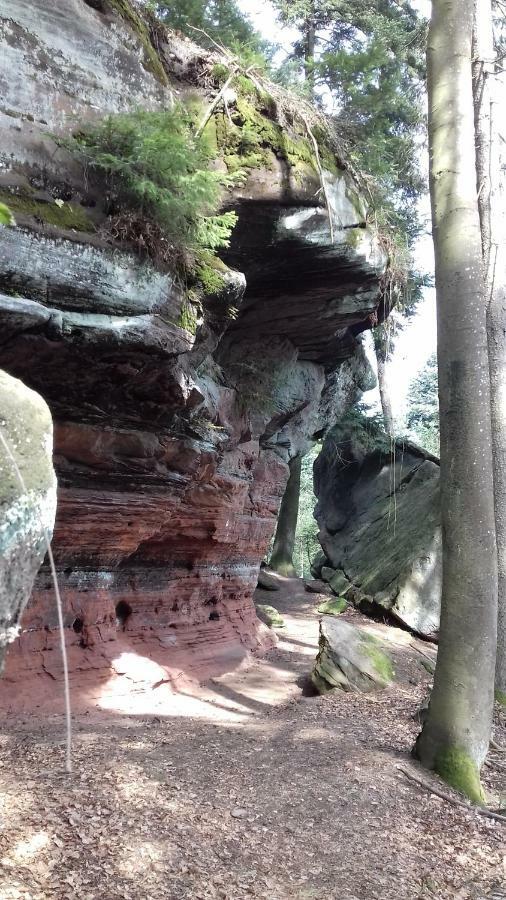 Fewo Jule Thaleischweiler-Froschen Buitenkant foto